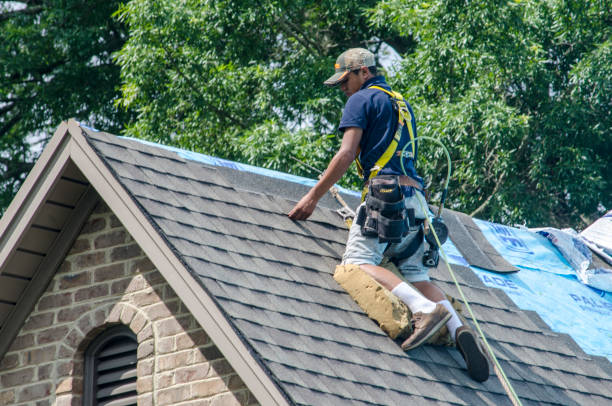 Best Roof Gutter Cleaning  in Ulysses, KS